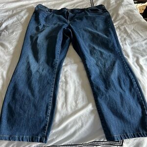 Women’s Style & Co Brand Blue Jeans